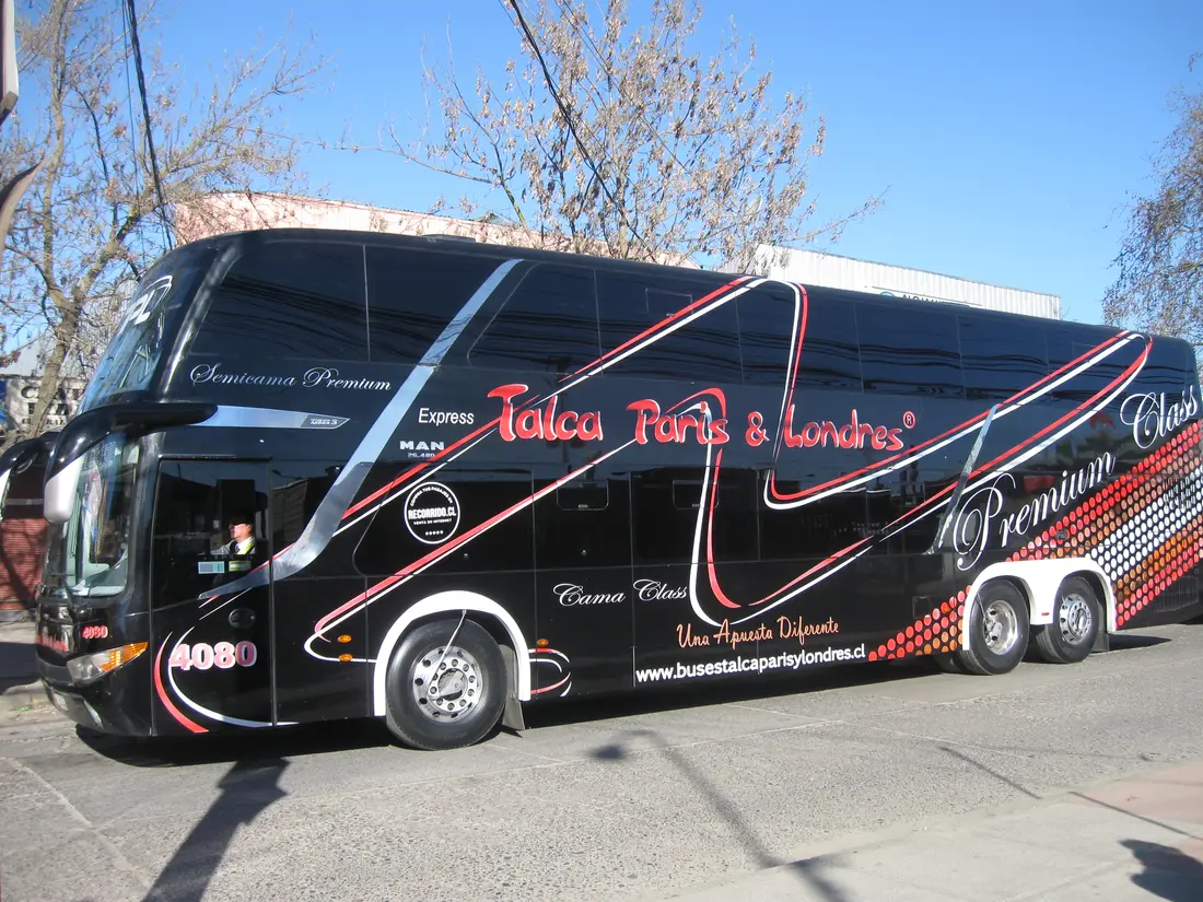 Bus y transporte de pasajeros