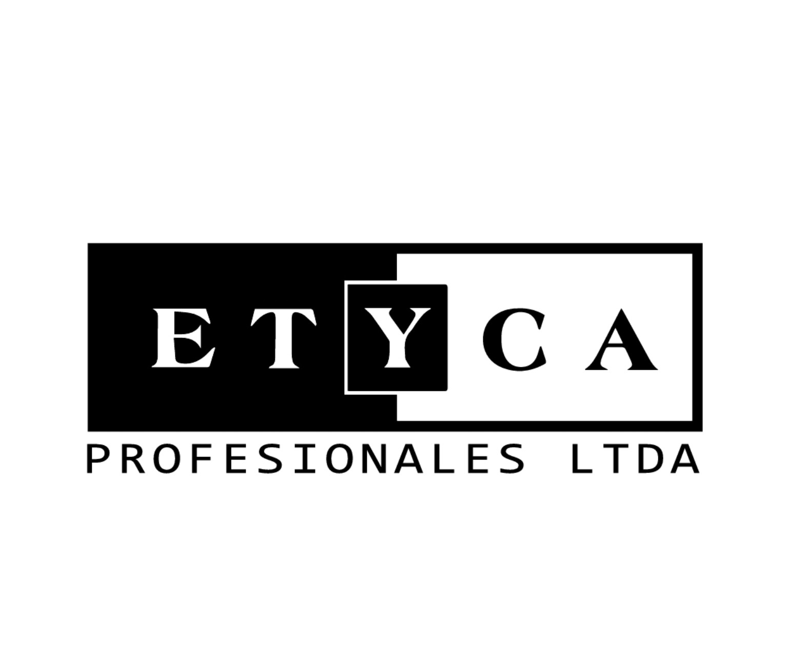 ETYCA Profesionales Ltda.